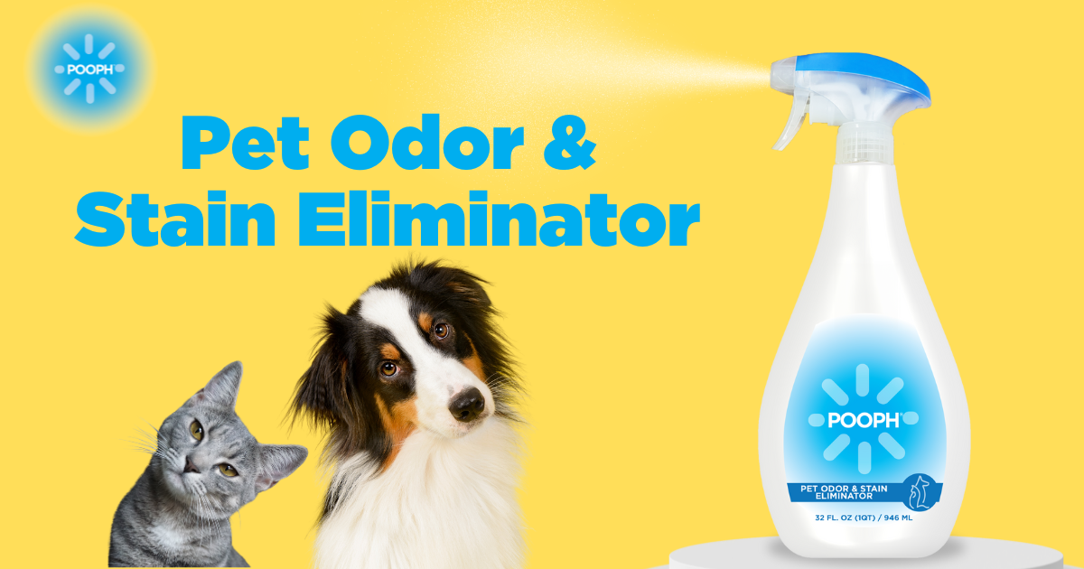 POOPH Pet Odor & Stain Eliminator – Buypooph