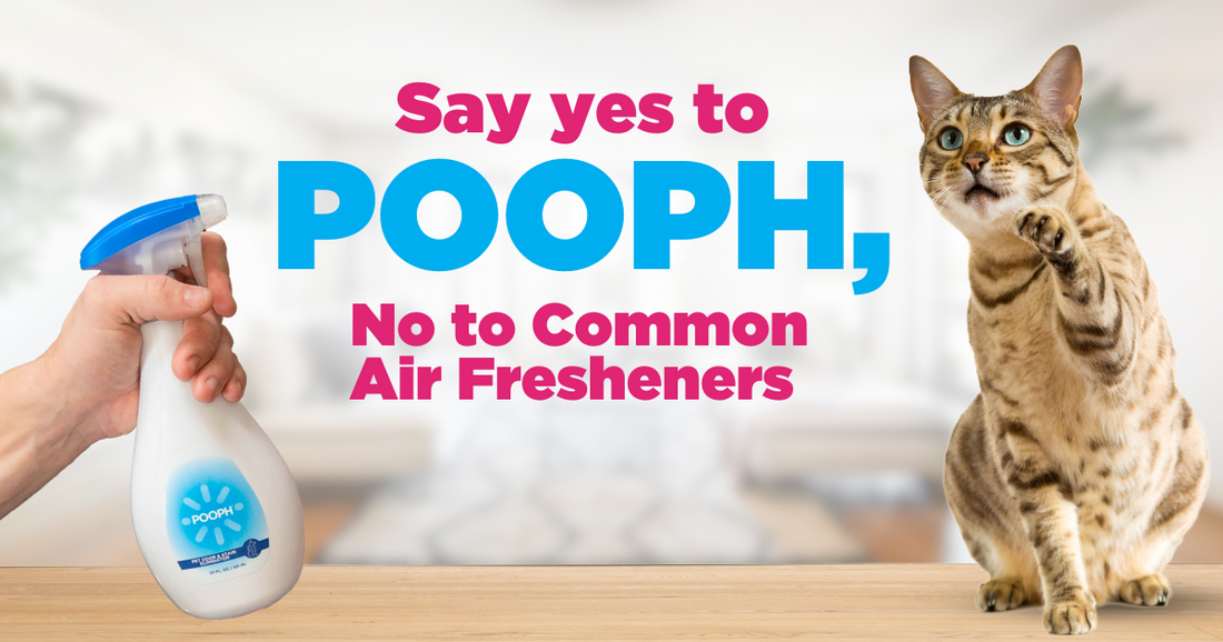 Say Yes to POOPH, No to Common Air Fresheners