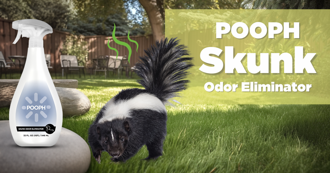 POOPH Skunk Odor Eliminator