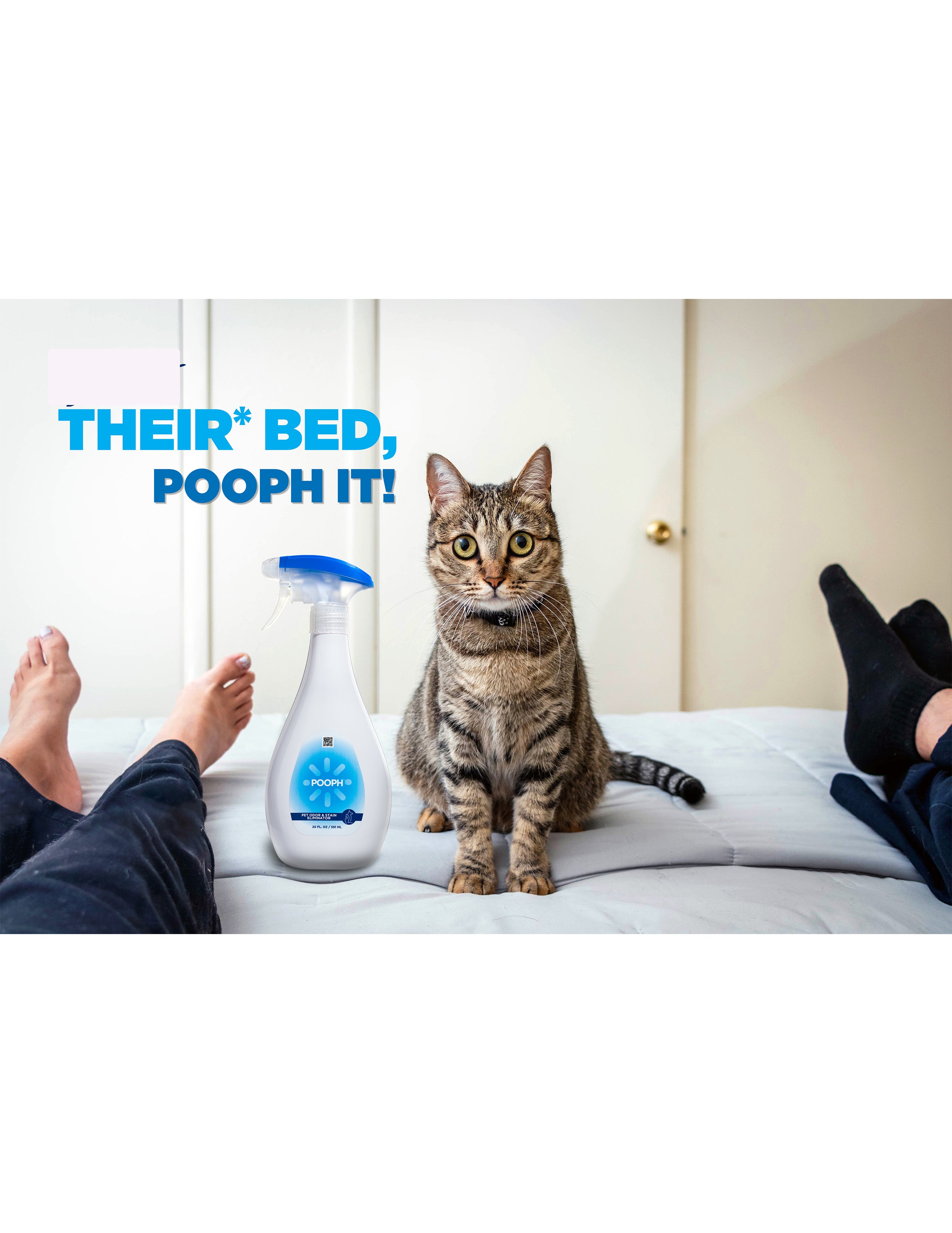 Cat poop 2025 odor eliminator